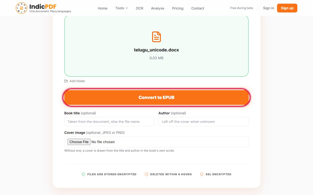 Step 4: Click Convert to EPUB.