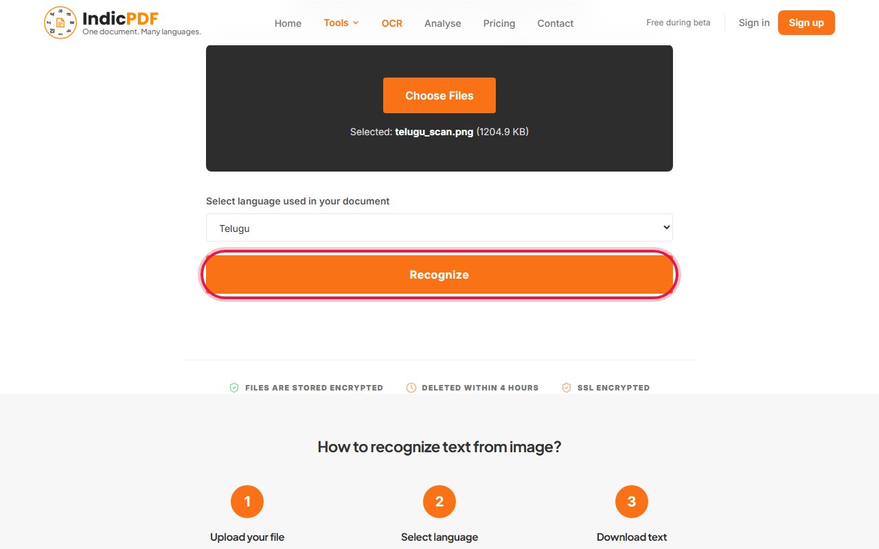 Step 4: Click Recognize.