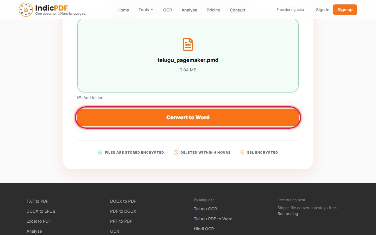 Step 4: Click Convert to Word.
